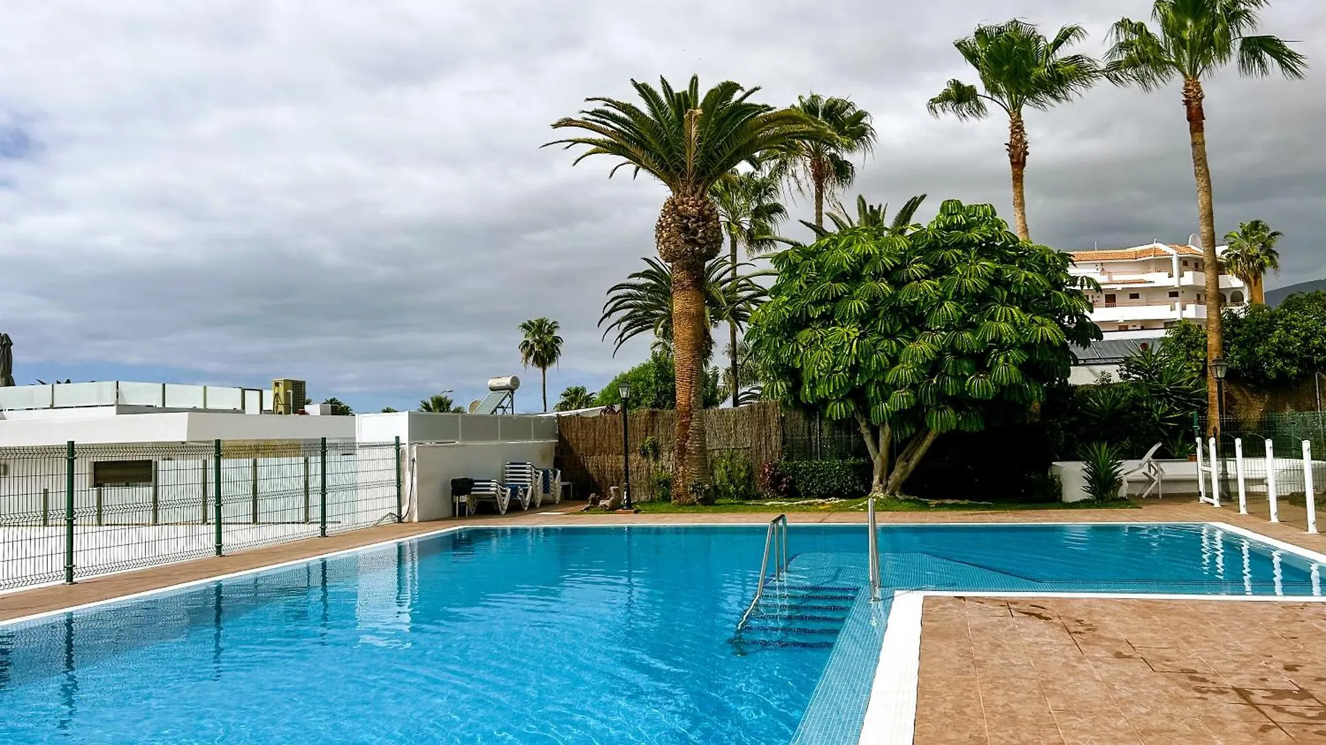 Lejlighed Stunning Bungalow, Pool, Terrace, Beach! Se12 Costa Adeje  Spanien